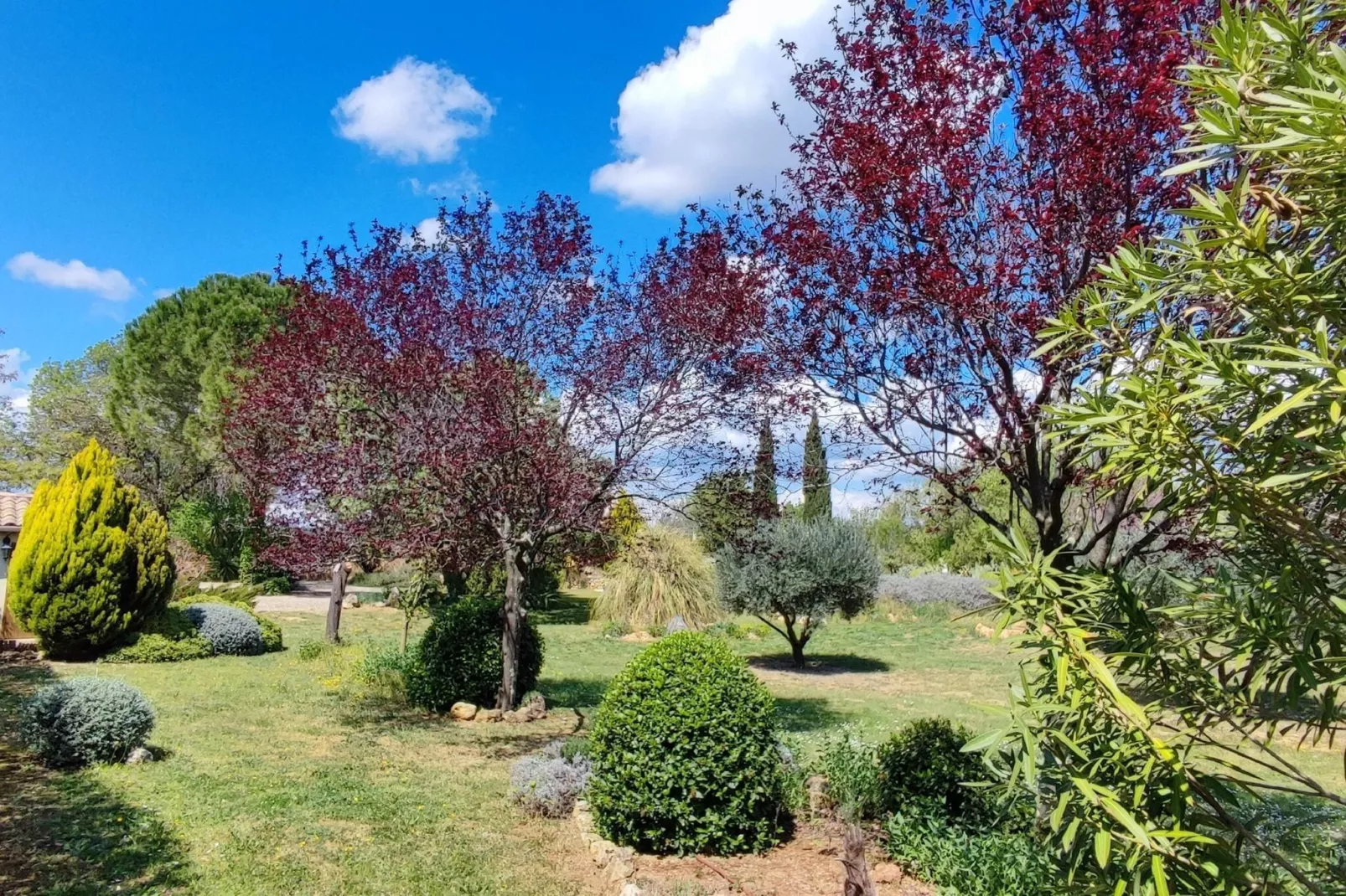 LA BOUSCADE MASTER & GUEST-Gardens summer