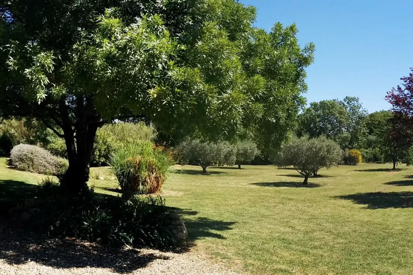 LA BOUSCADE MASTER & GUEST-Gardens summer