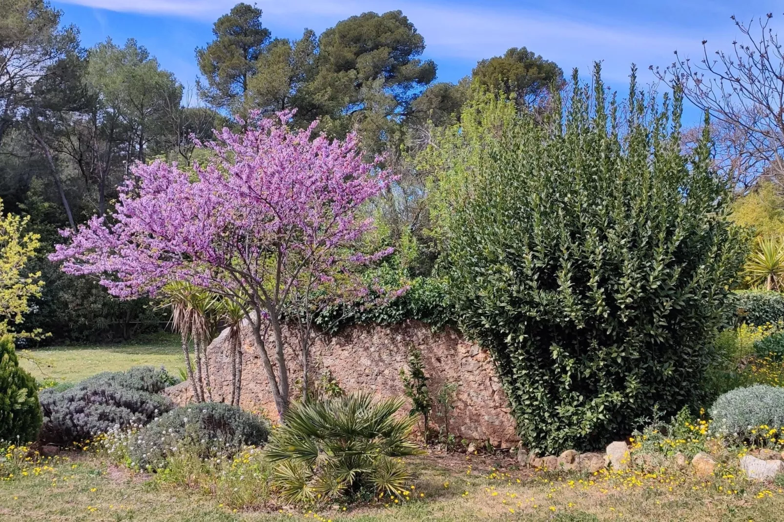 LA BOUSCADE MASTER & GUEST-Gardens summer