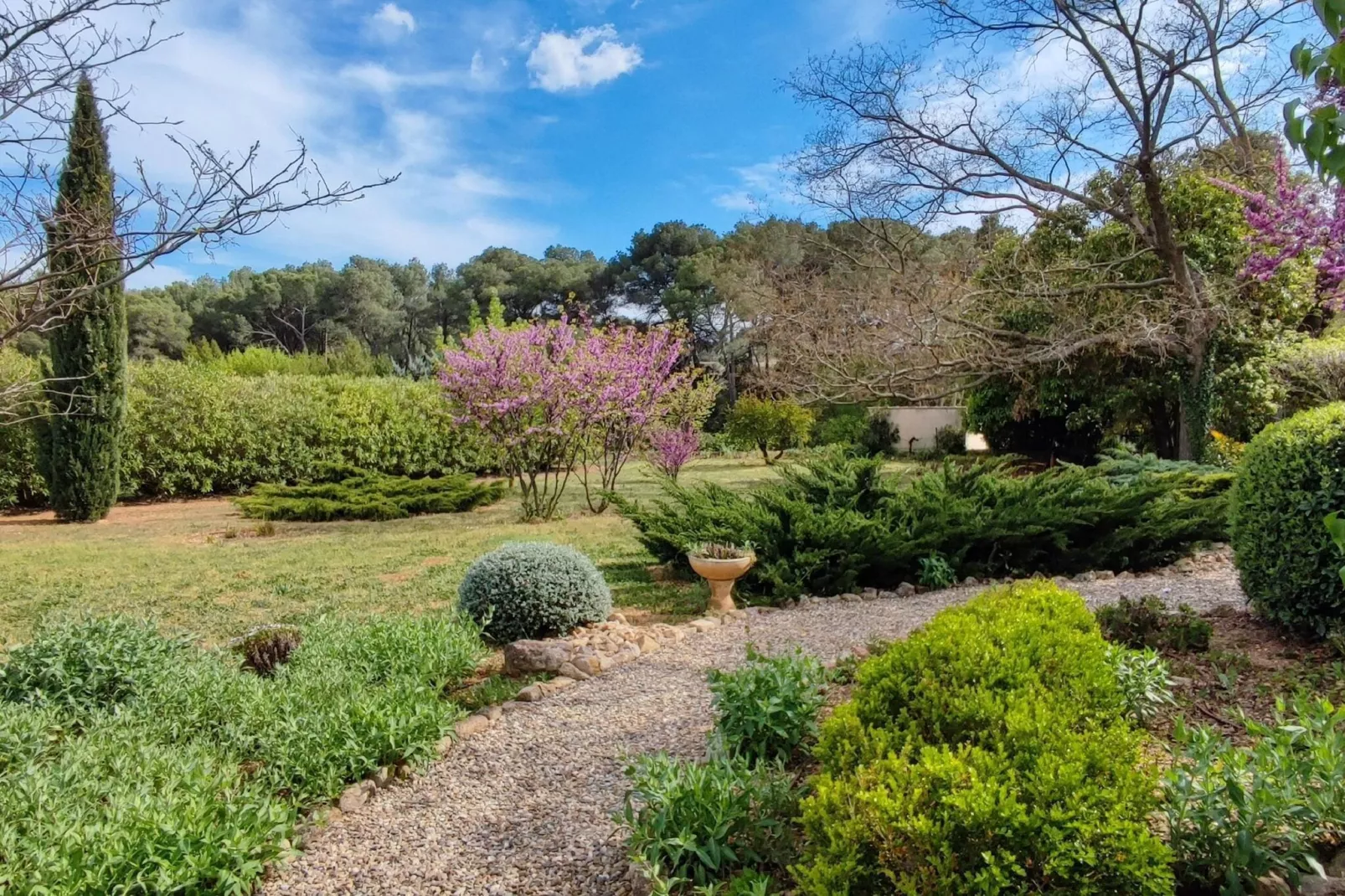 LA BOUSCADE MASTER & GUEST-Areas summer 1km