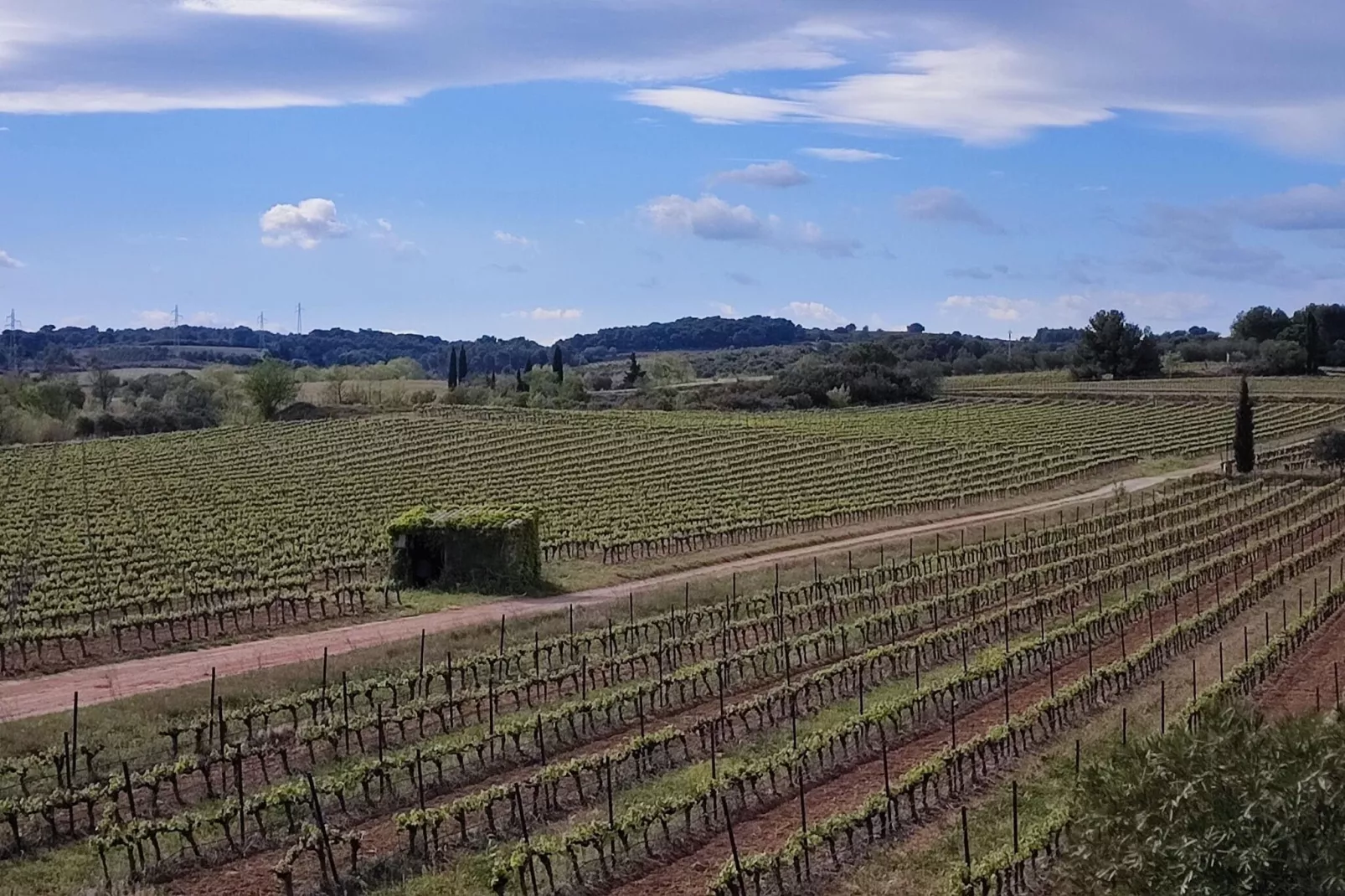 LA BOUSCADE MASTER & GUEST-Areas summer 5km