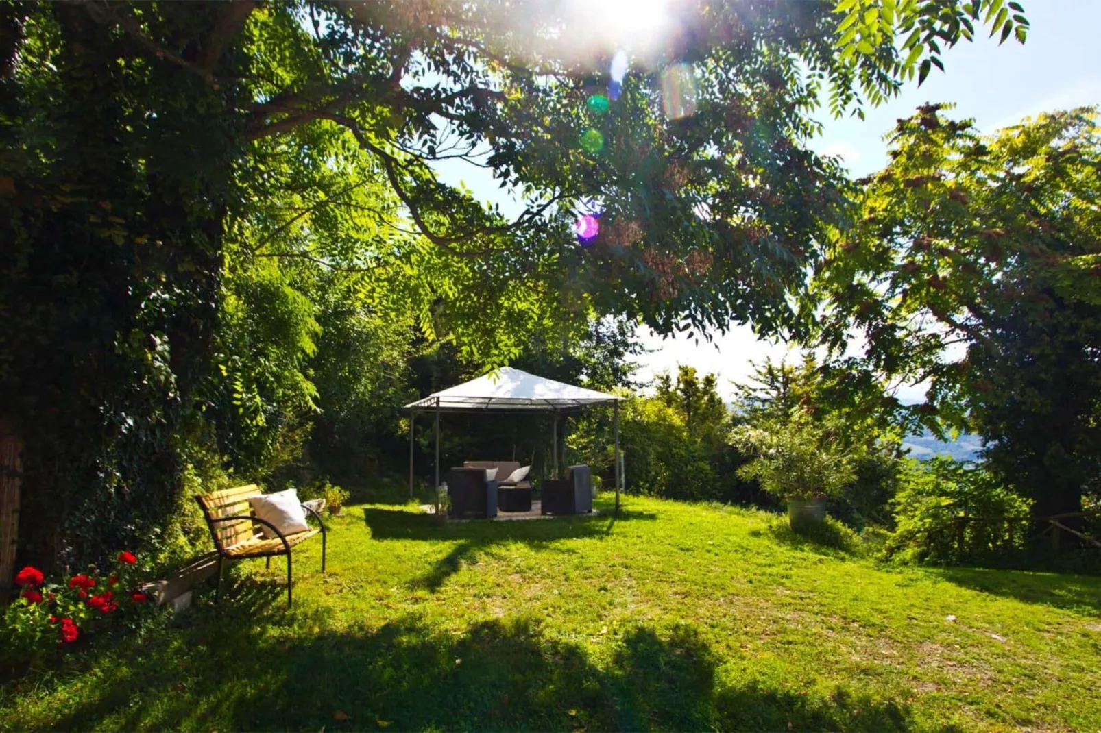 Il Conio Viola-Gardens summer