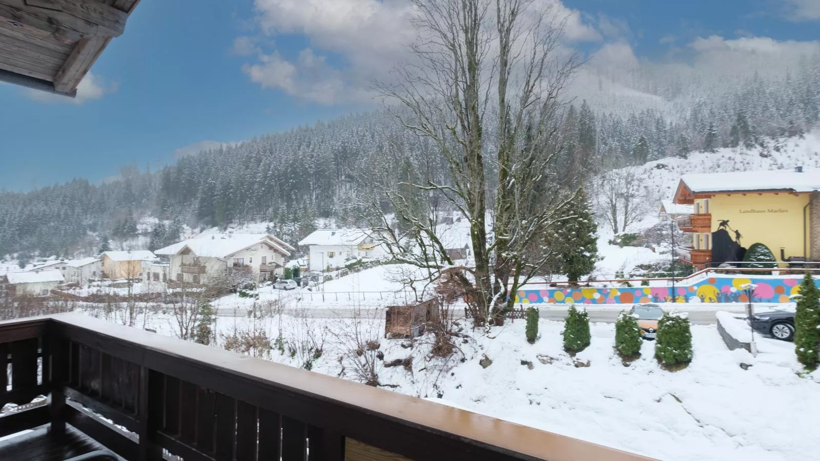 viewwinter