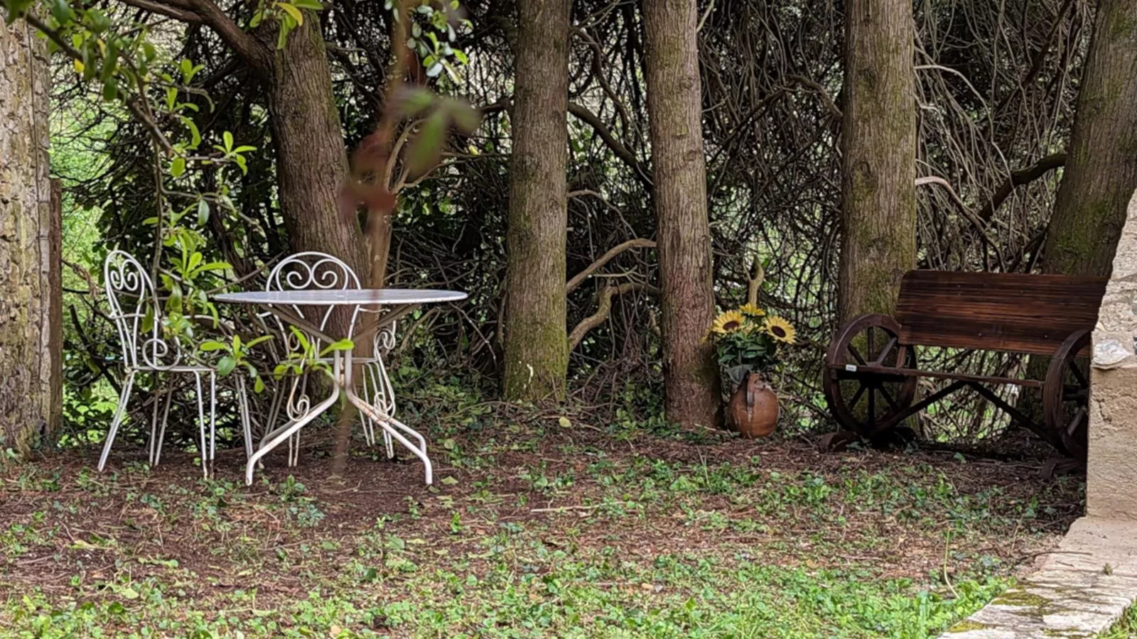 LEnvie de Metz studio-Jardin d'été