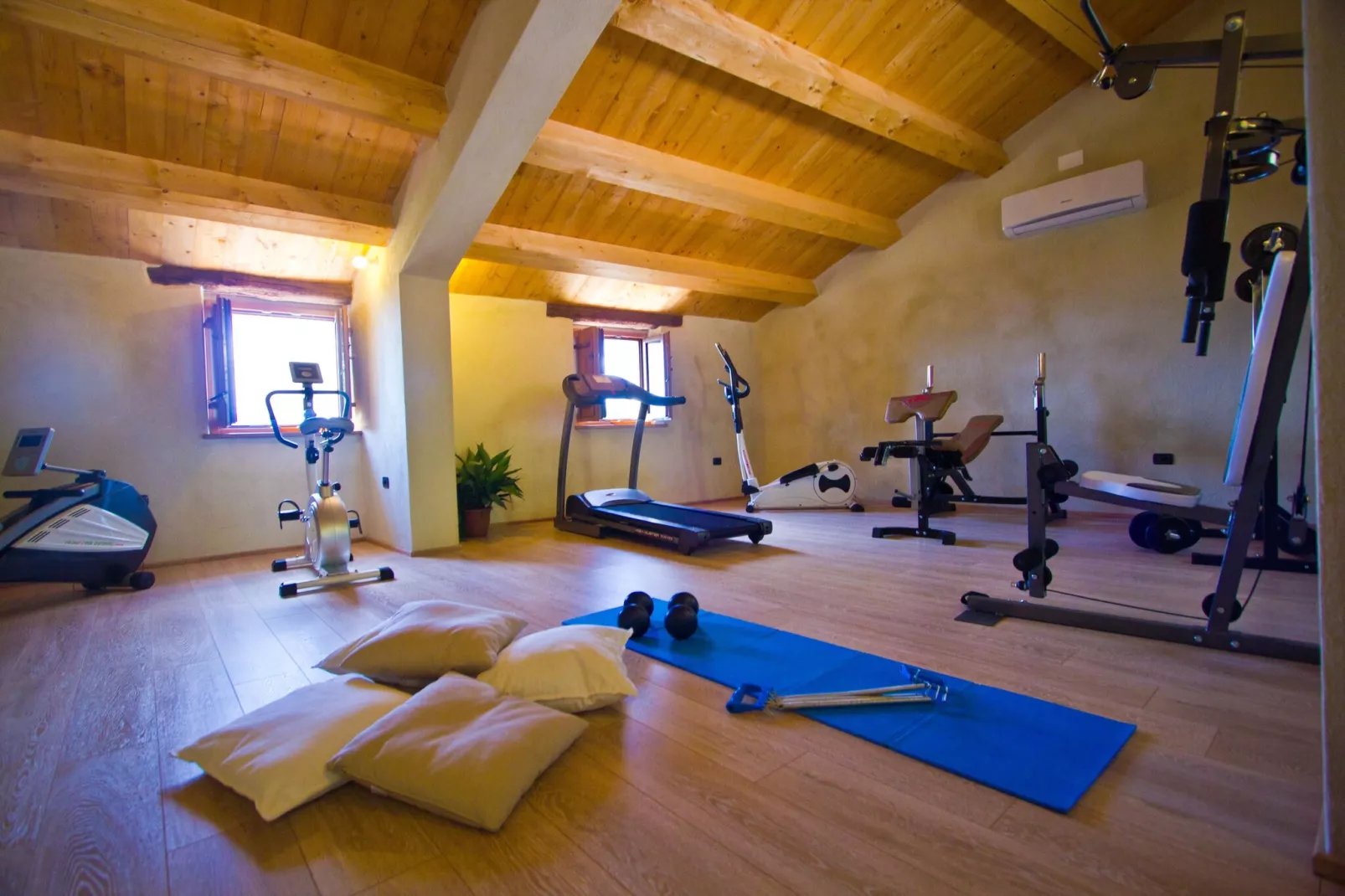 Il Conio Viola-Facilities