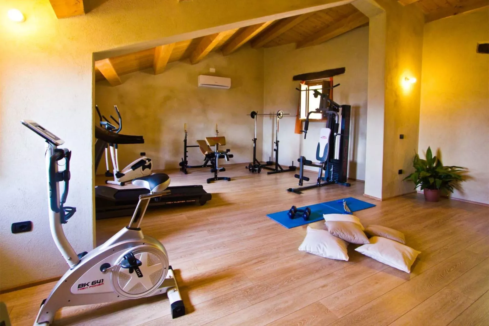 Il Conio Viola-Facilities