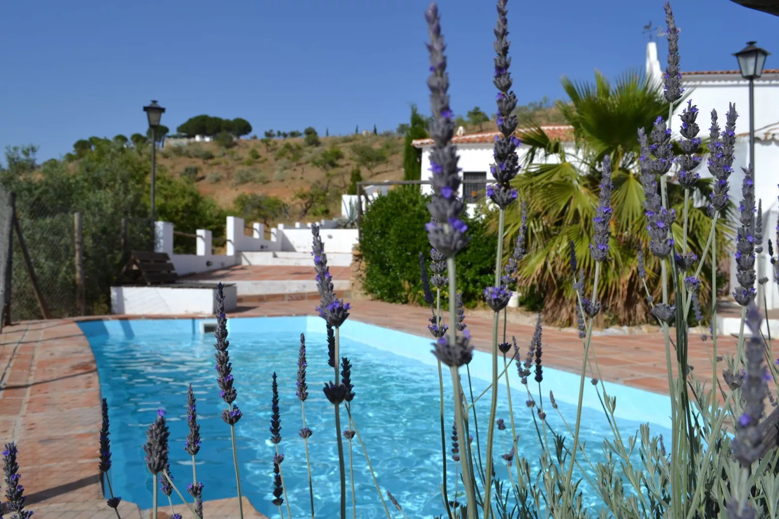 Casa El Cielo-Pool