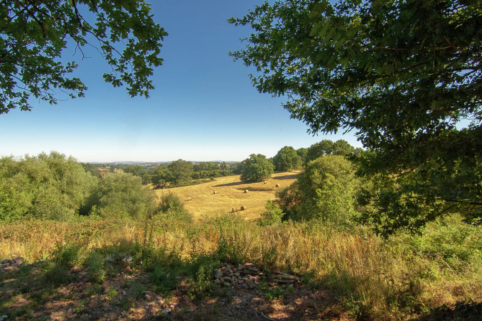 La Rose-Areas summer 1km