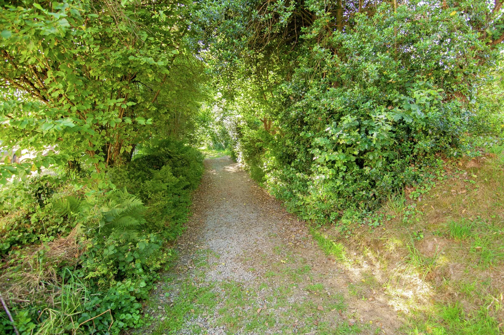 La Rose-Areas summer 1km