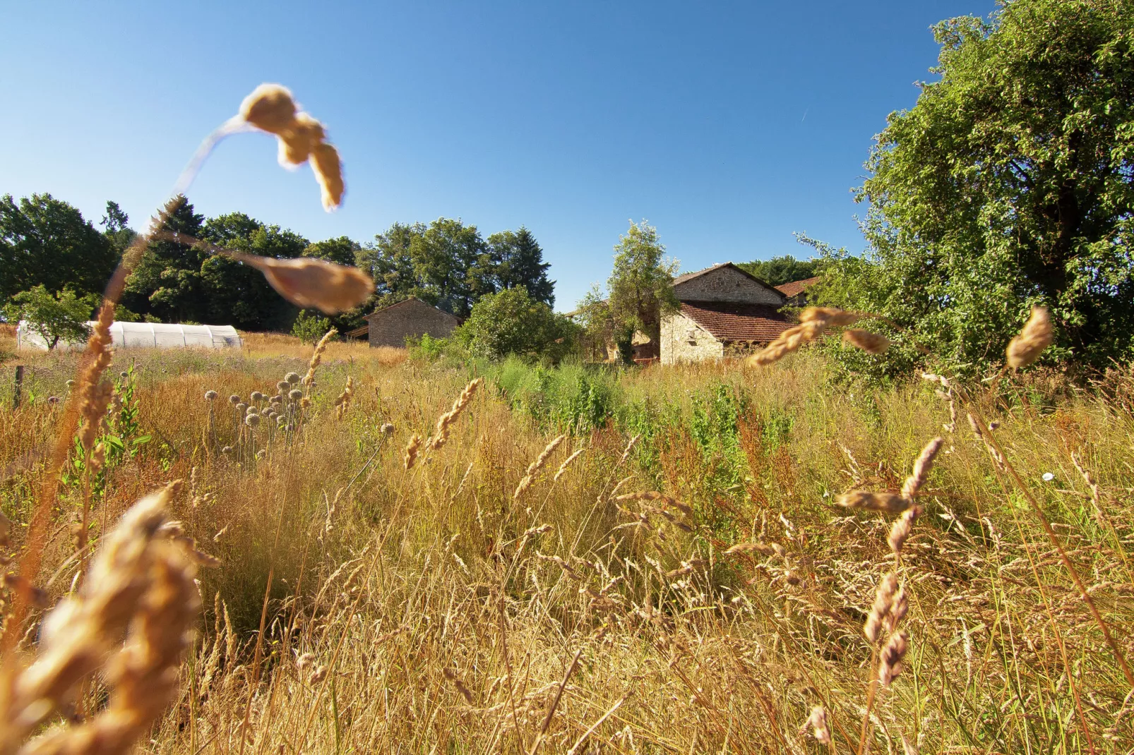 La Marguerite-Areas summer 1km