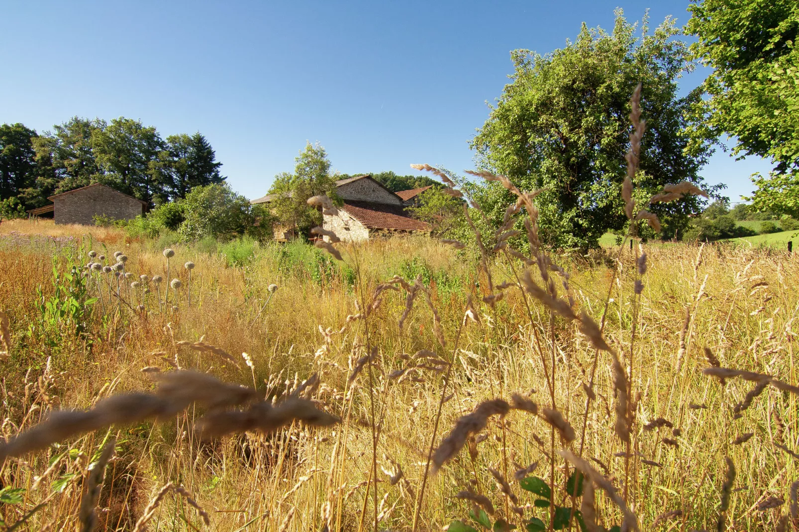 Le Tournesol-Areas summer 1km