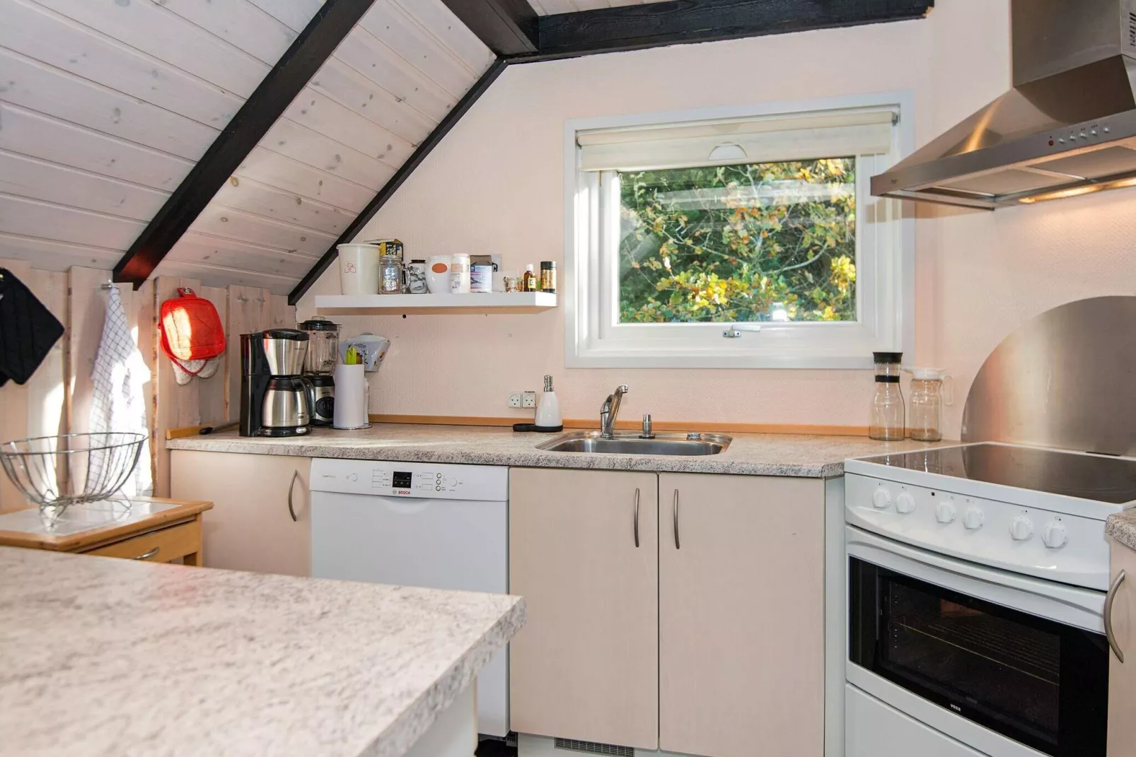 Cottage paisible avec chaume a Romo-By Traum