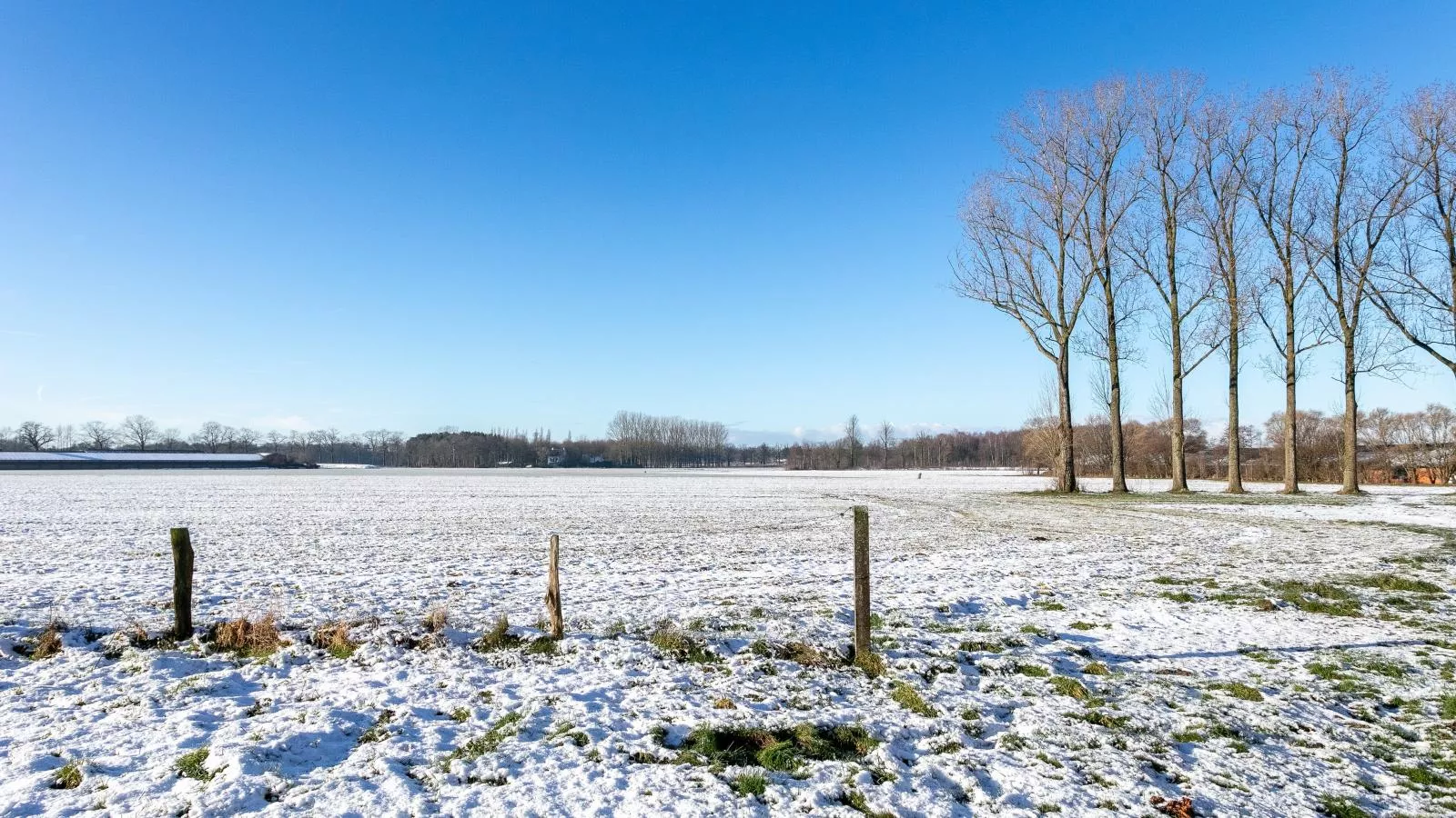 Lindehoeve-Garden winter