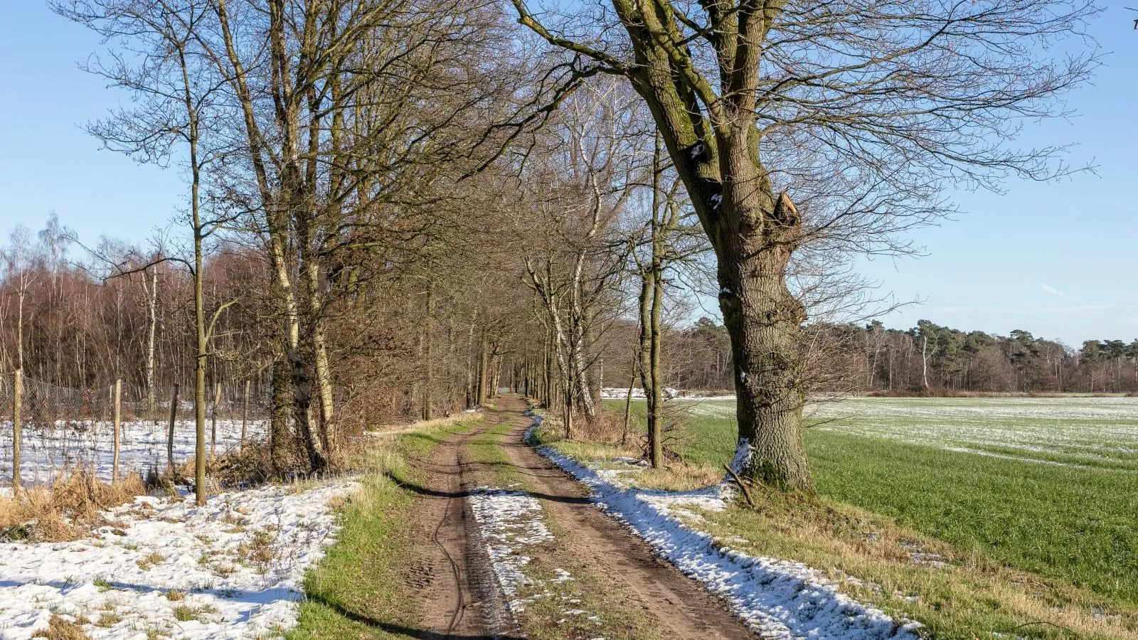 Lindehoeve-Area winter 1km