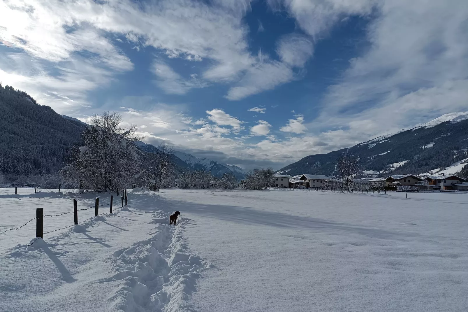 Dorfruh-Area winter 5km