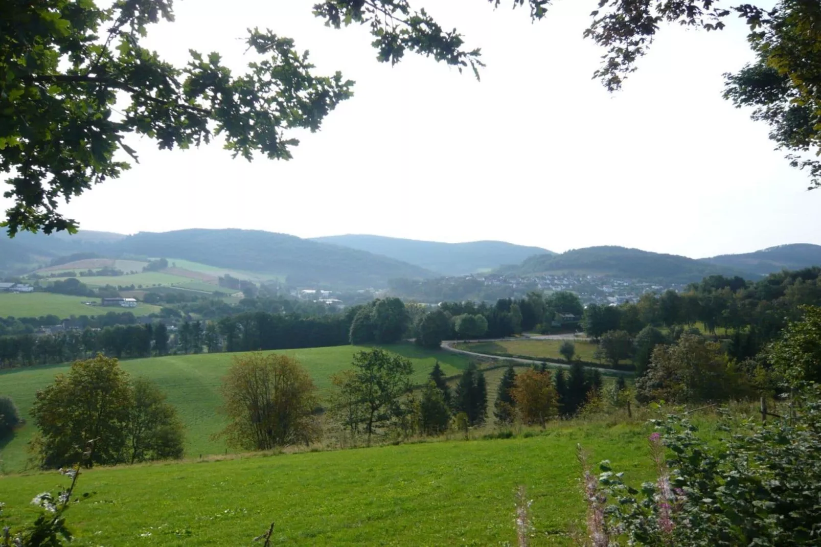 6041-Areas summer 5km