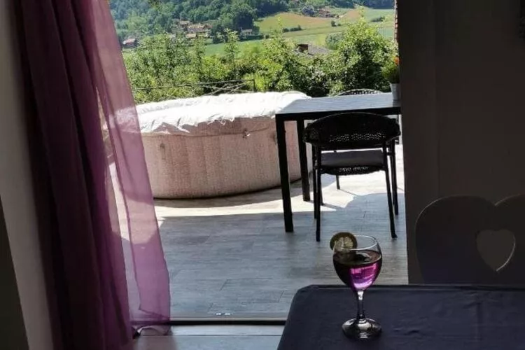 Guesthouse Videc-Terrace balcony
