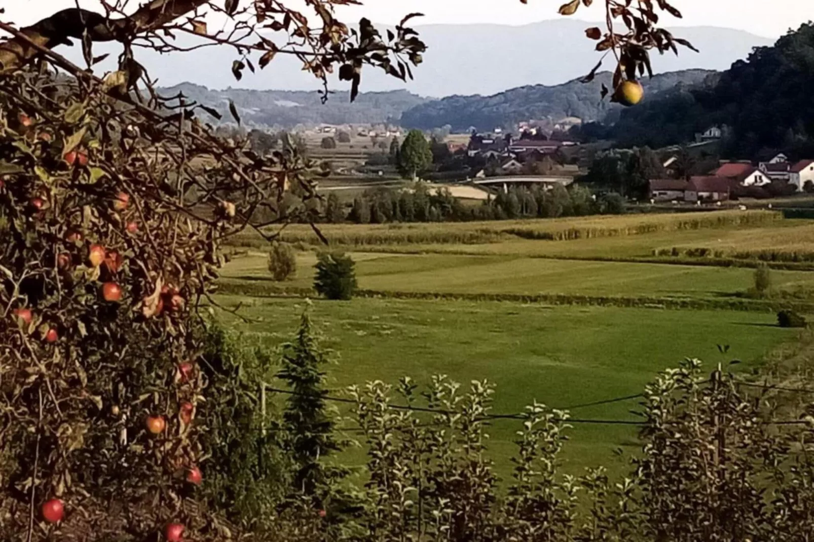 Guesthouse Videc-Areas summer 1km