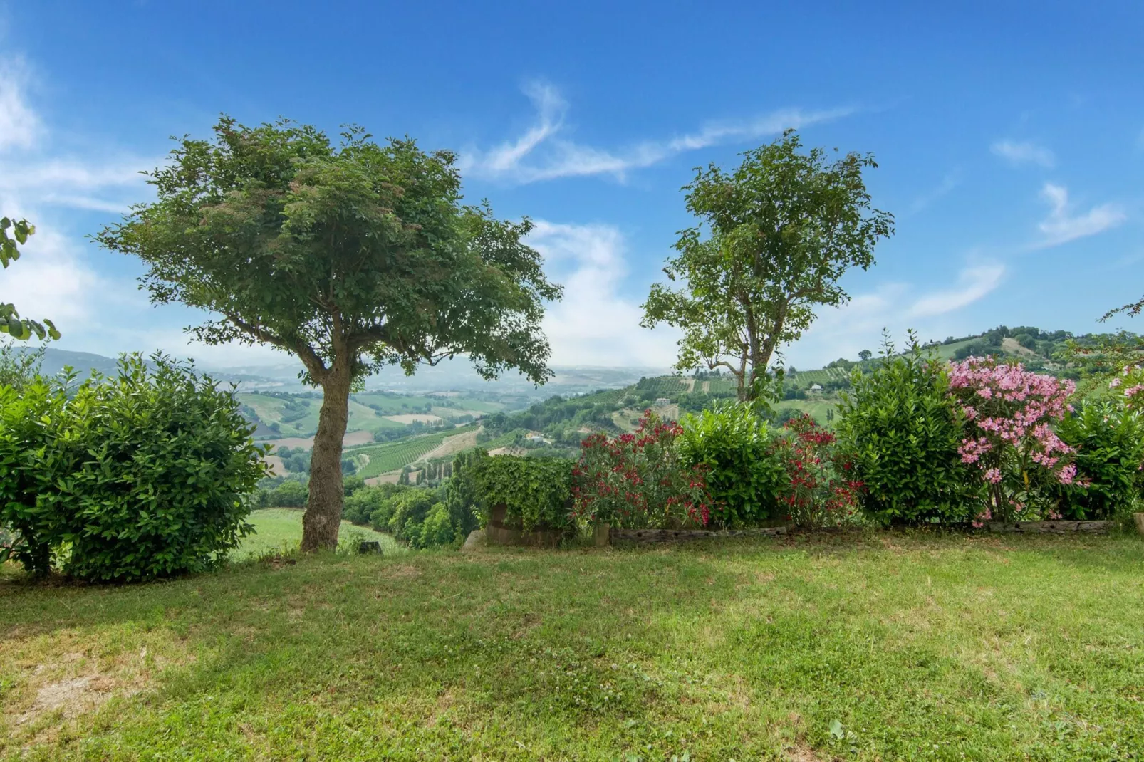 Casa Celeste-Garten Sommer