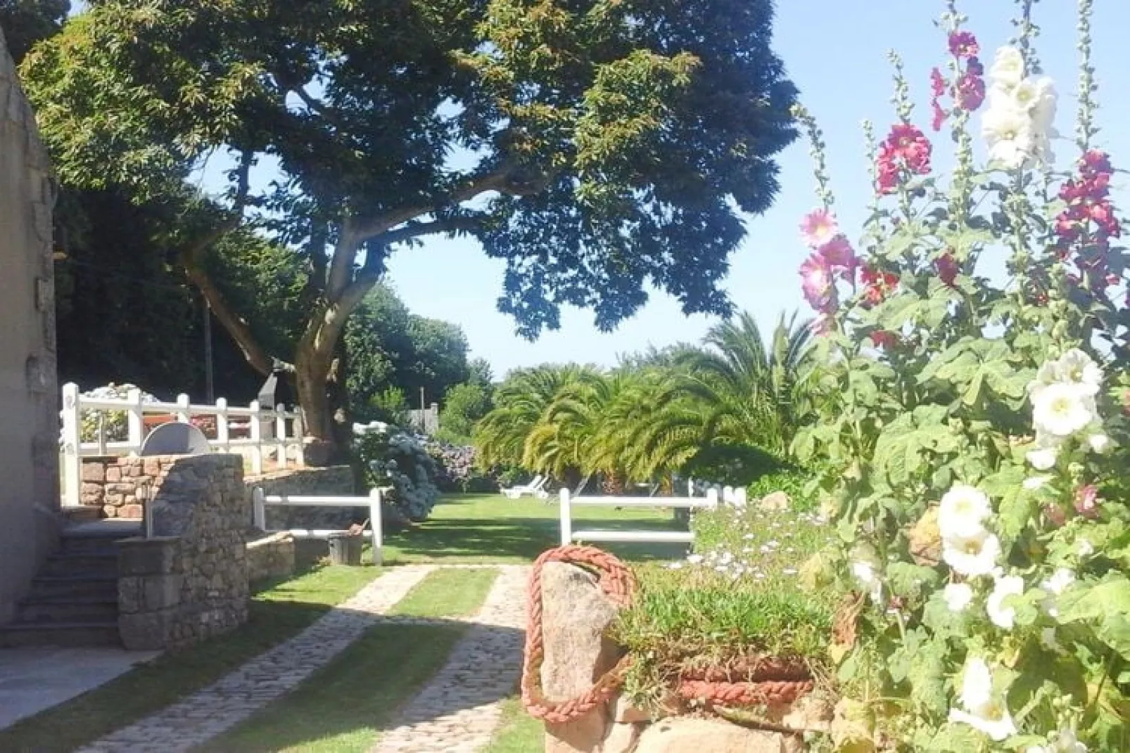 Holiday home Buguélès-Penvénan-Gardens summer