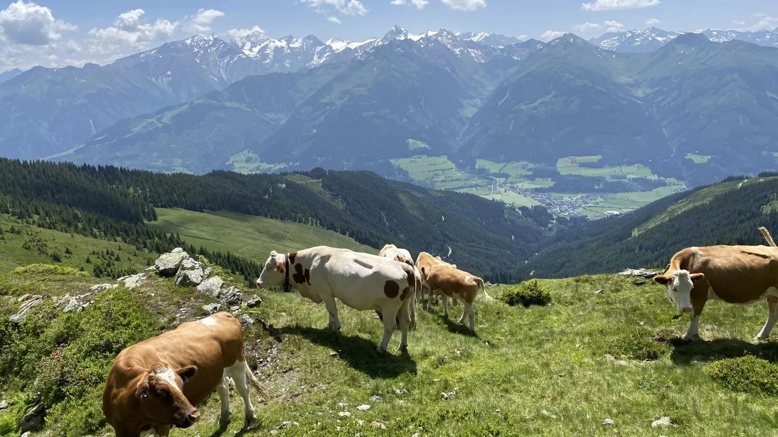 Green Garden Lodge A2 Walchen-Kaprun-Areas summer 5km