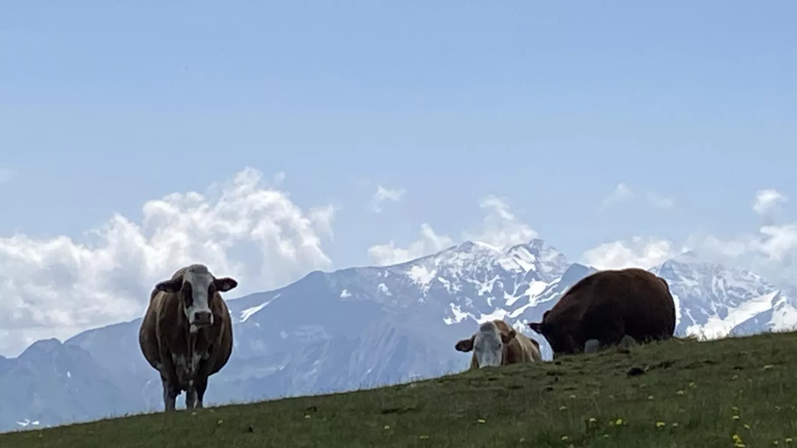 Green Garden Lodge A2 Walchen-Kaprun-Areas summer 5km