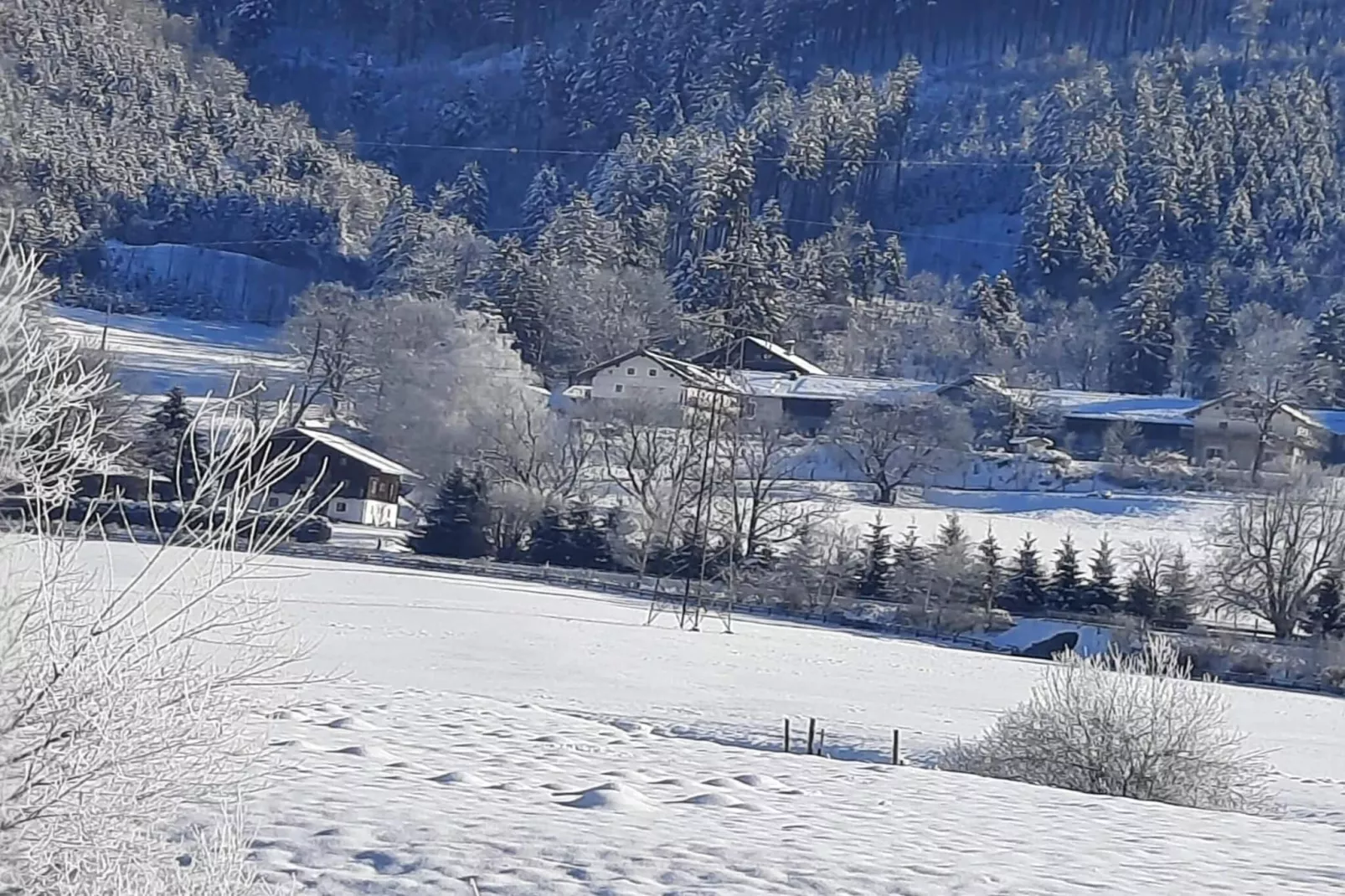 Apartment Klingler-Area winter 5km