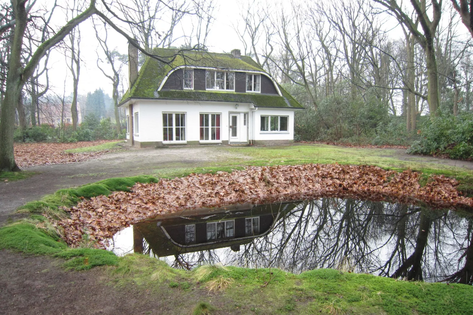Boskant-Exterior winter