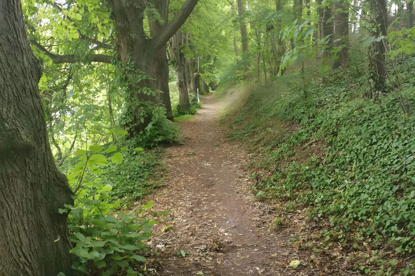 Mobilheim am Goldberger See-Areas summer 5km