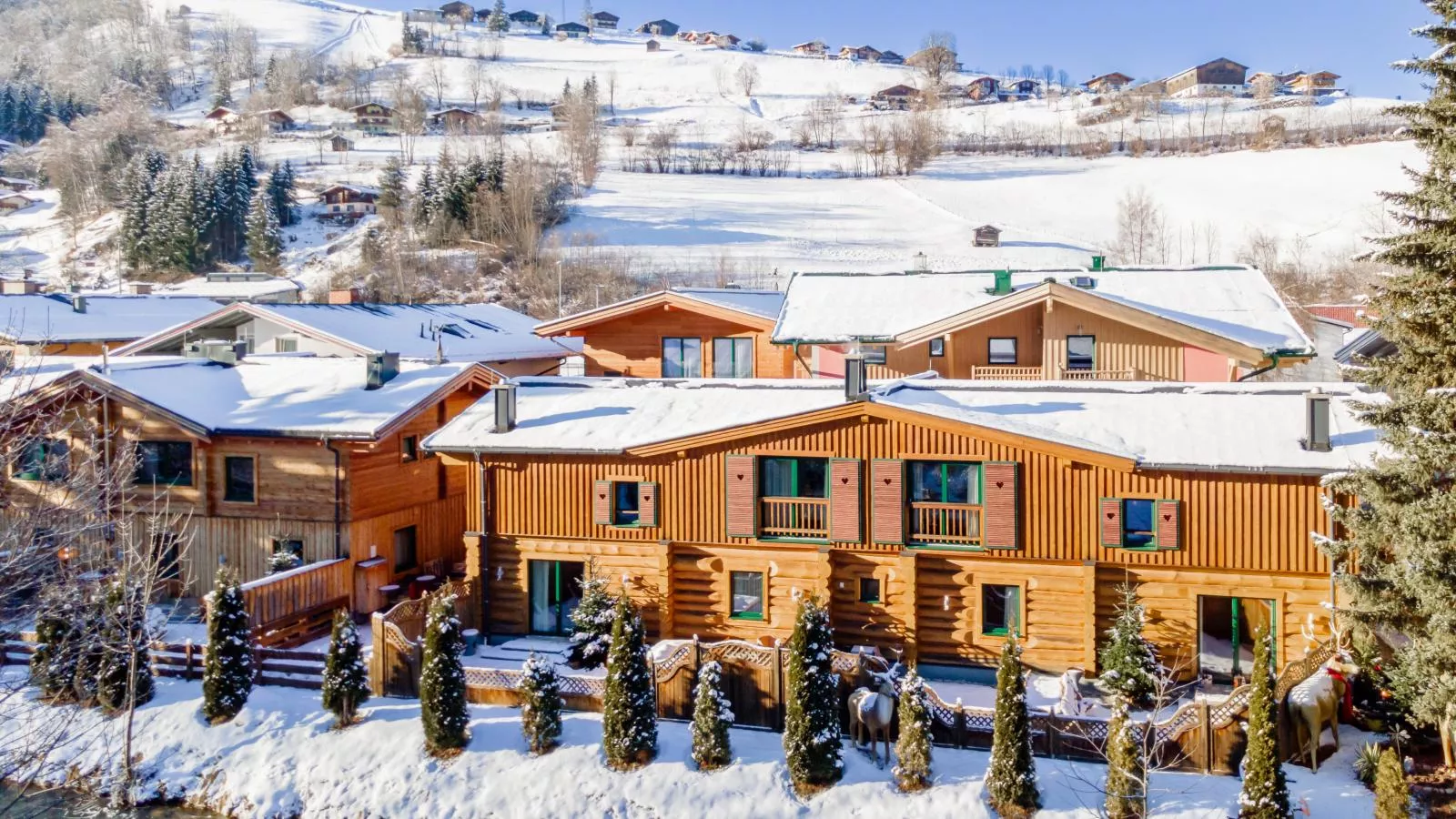Nature Lodge Kaprun XL-Exterior winter