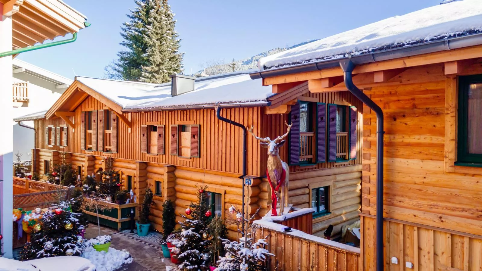 Nature Lodge Kaprun XL-Exterior winter