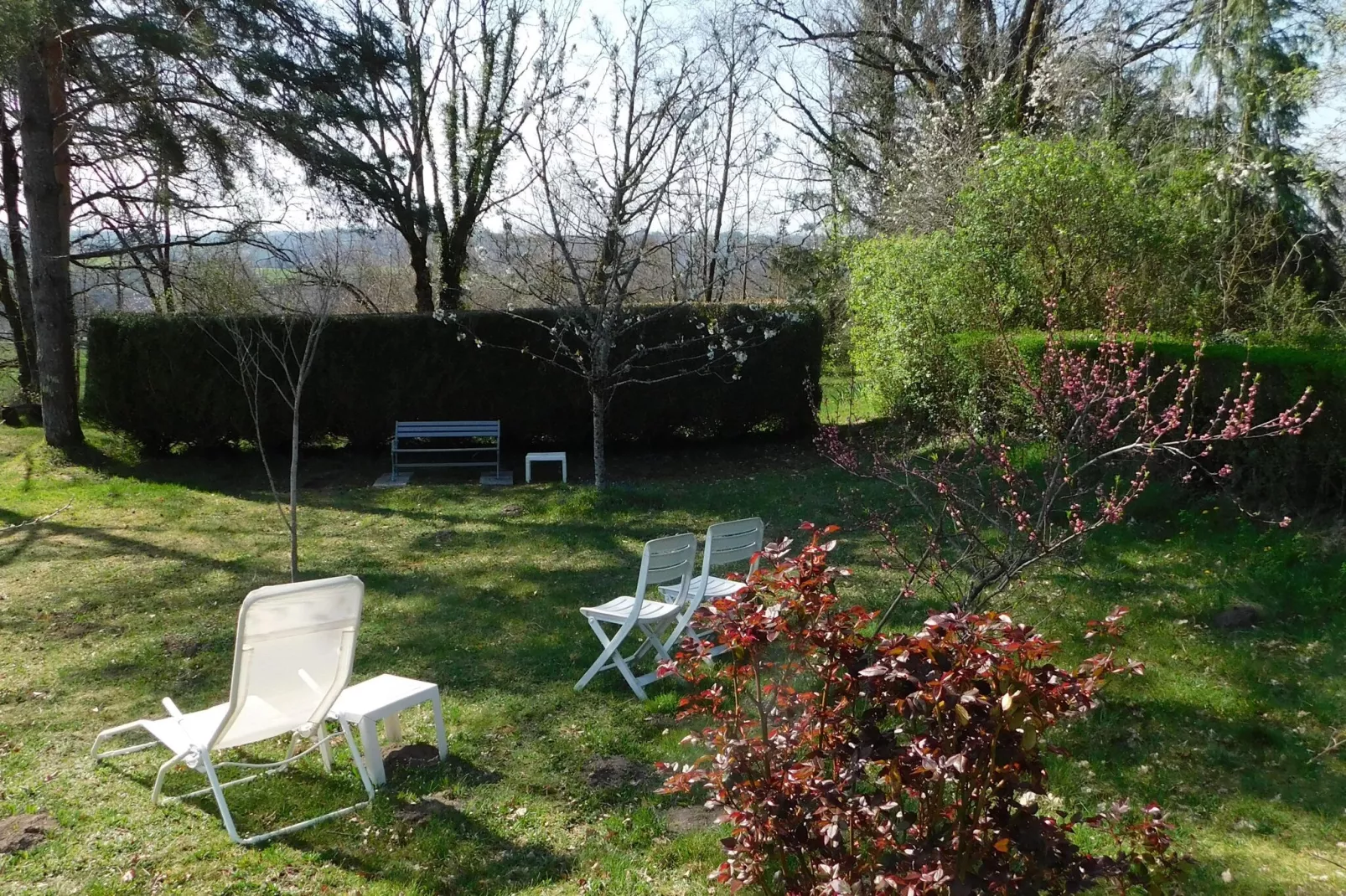 Petite Plaisance-Gardens summer