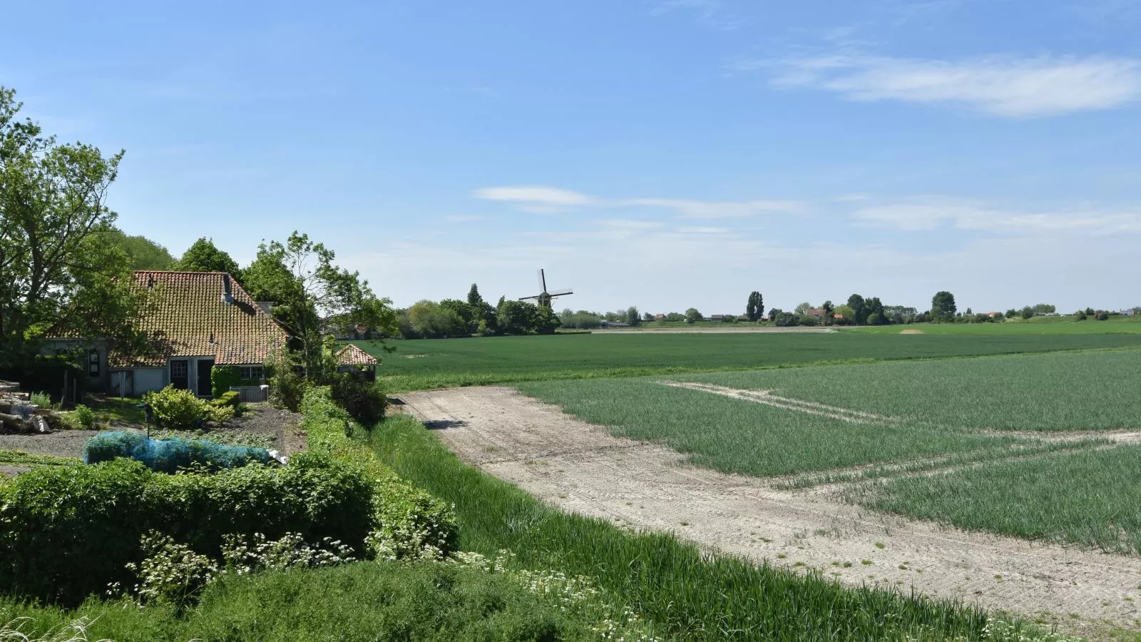 Graspieper-Areas summer 1km