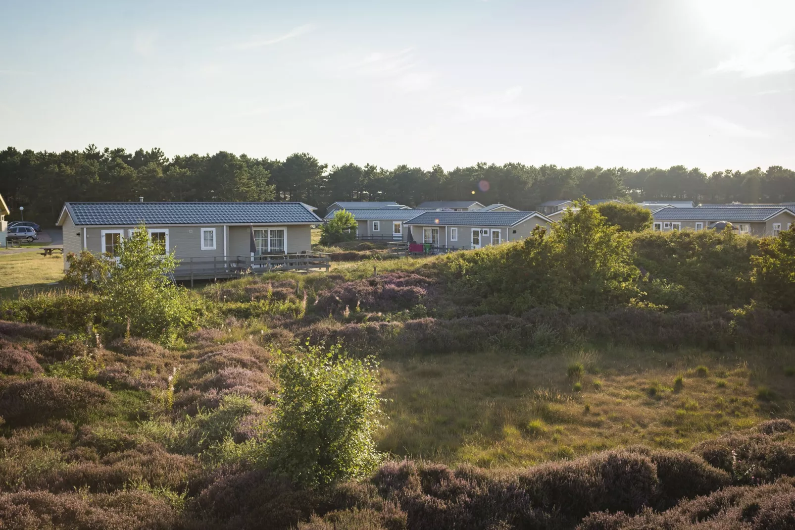 Vakantiepark Loodsmansduin 1-Außenbereich Sommer