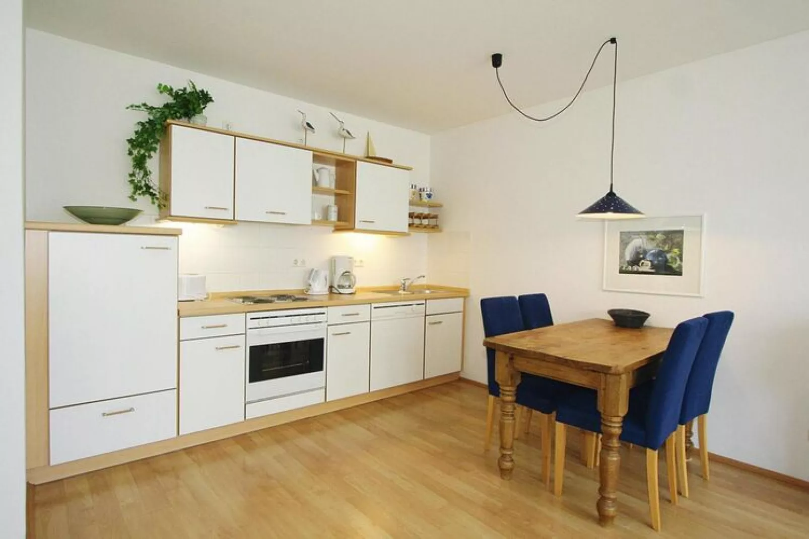 Residenz Seestern Boltenhagen-Typ A 45 qm-Kitchen