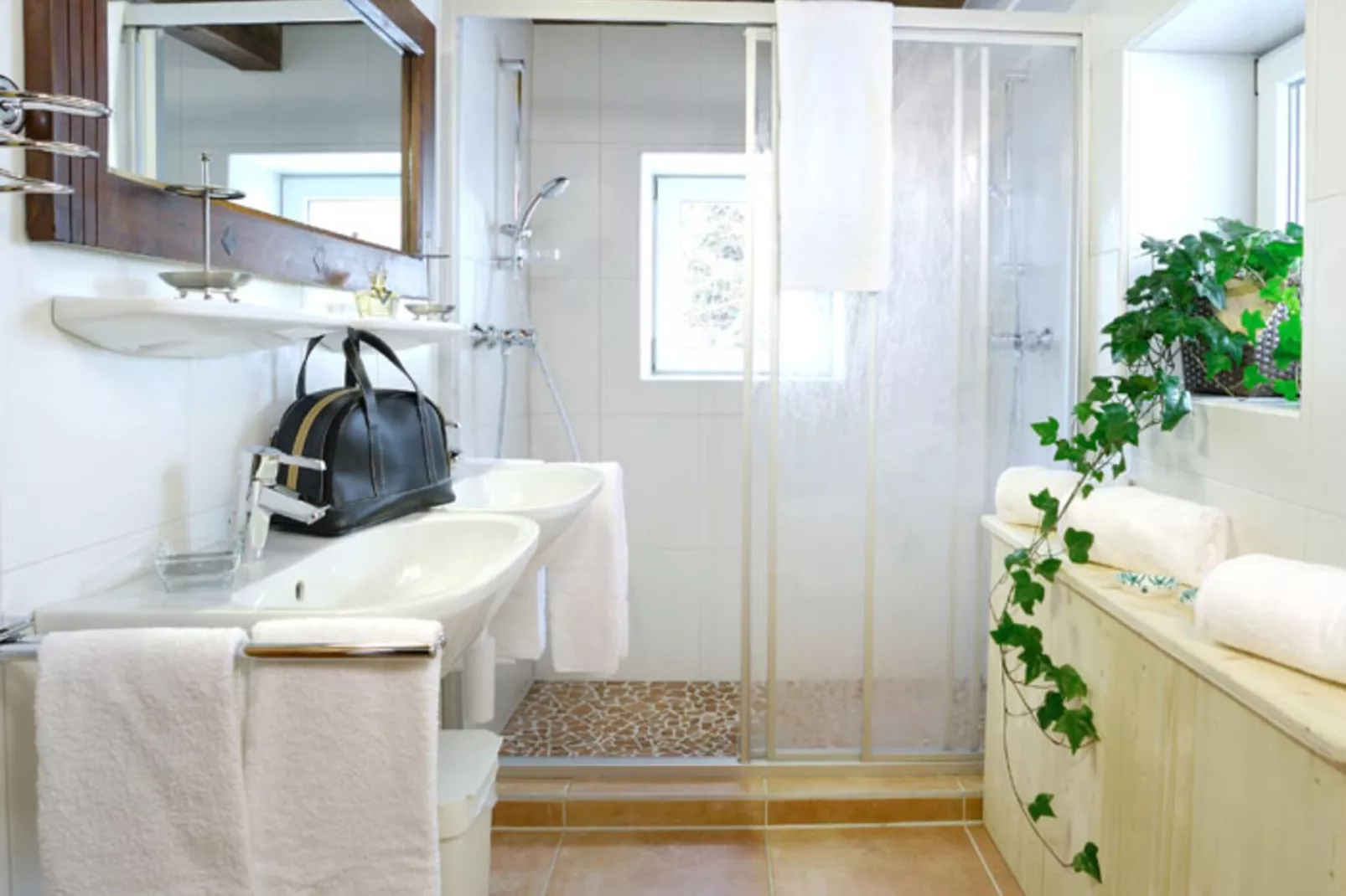 Ferienhaus Nationalpark-Bathroom