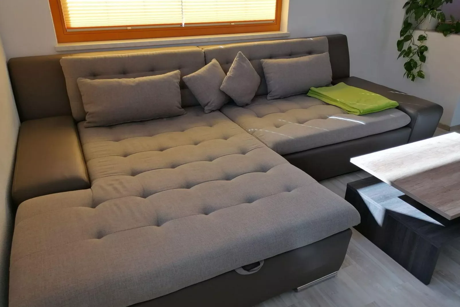 Ferienwohnung Hollaus-Living room