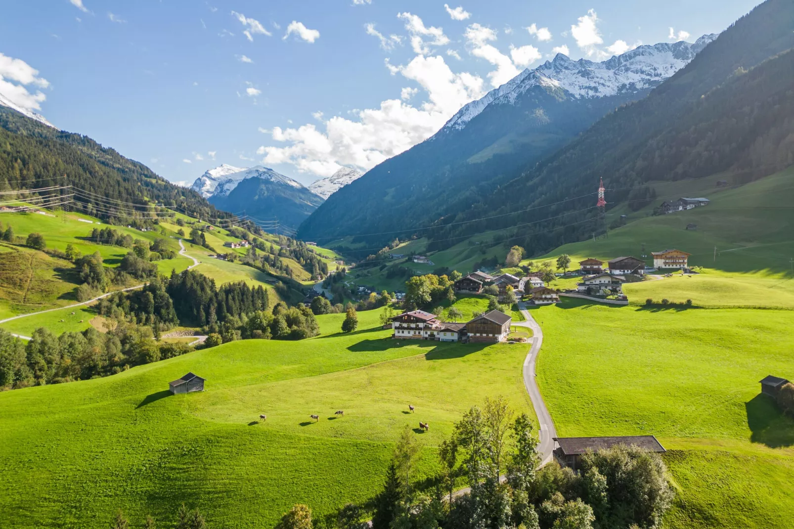 Apartment "Felbertal" & "Grasberge"-View summer