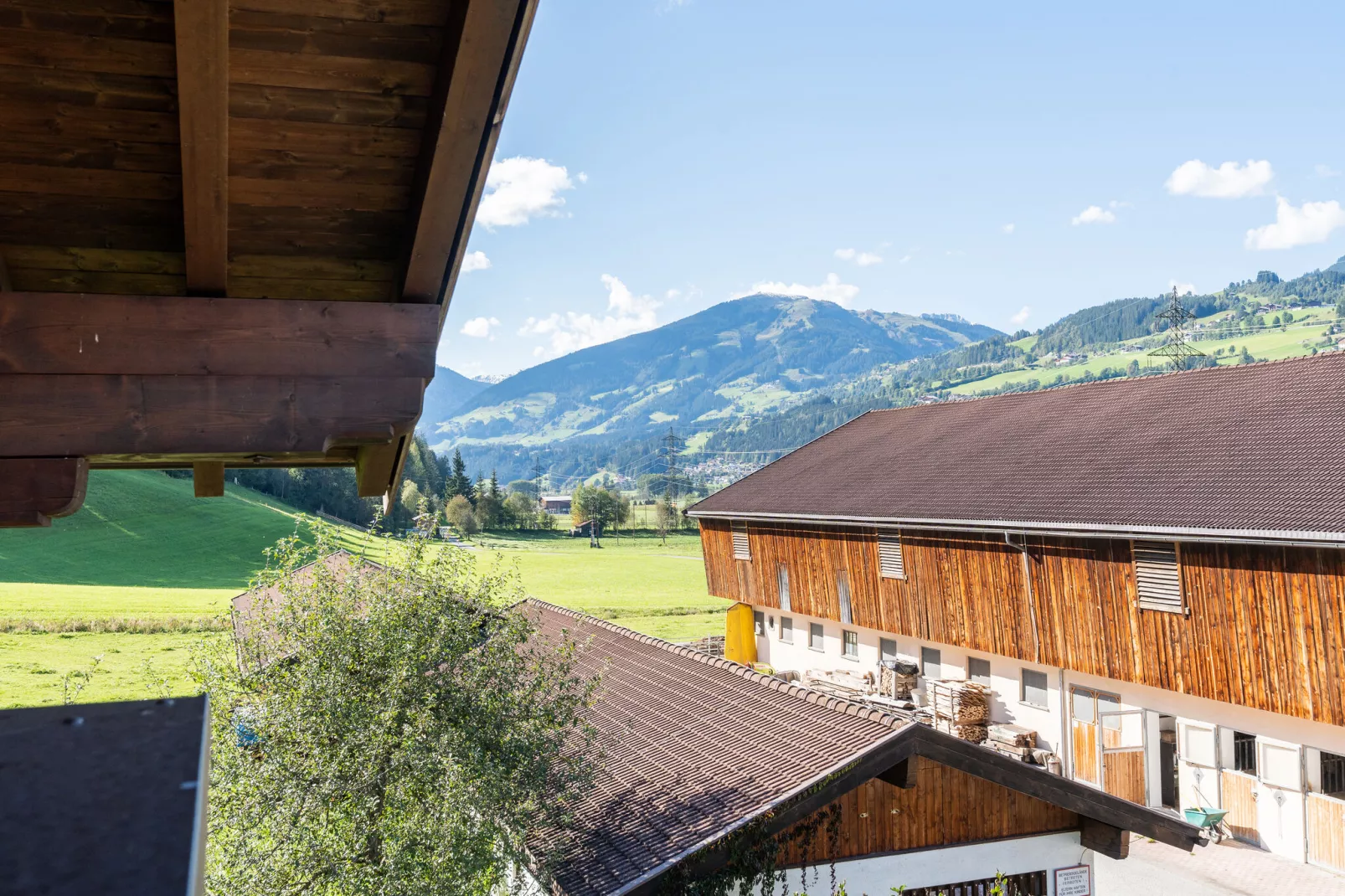 Apartment "Felbertal" & "Grasberge"-View summer