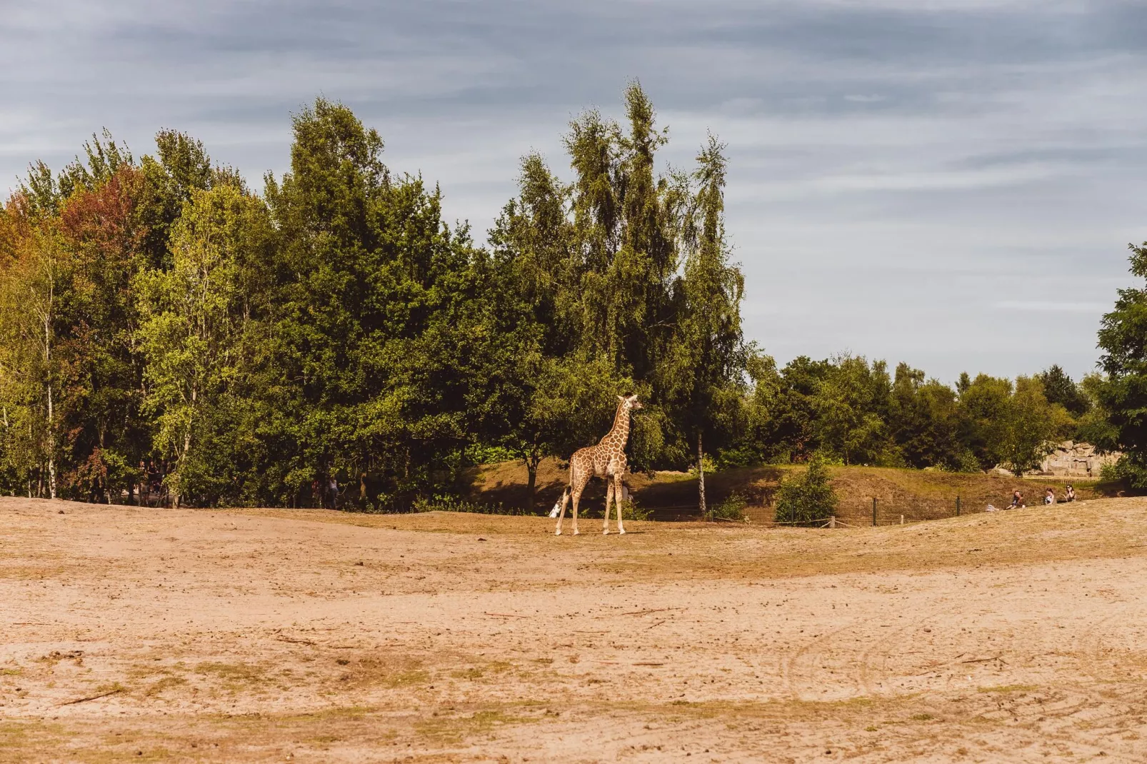 Vakantiepark De Heihorsten 2-Areas summer 20km