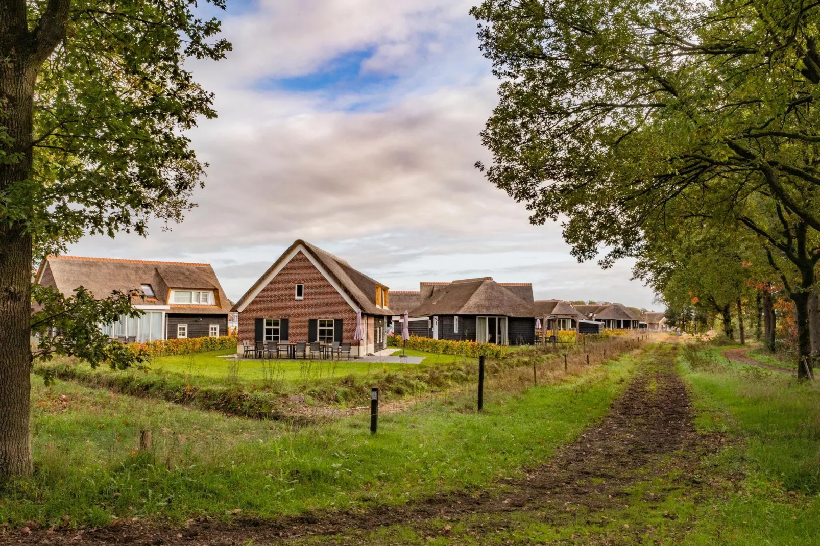 Vakantiepark De Heihorsten 4-Areas summer 1km