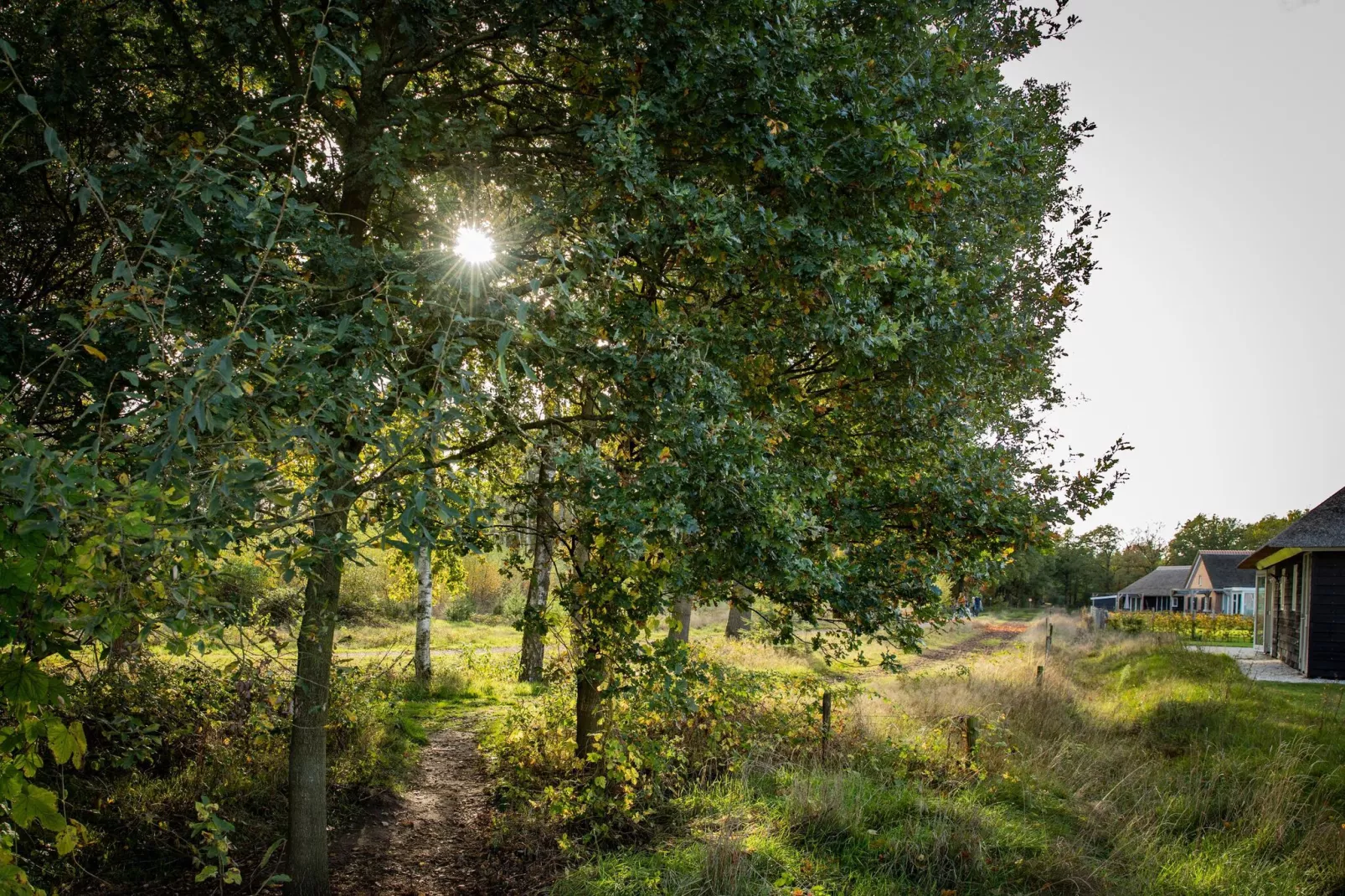 Vakantiepark De Heihorsten 4-Areas summer 1km