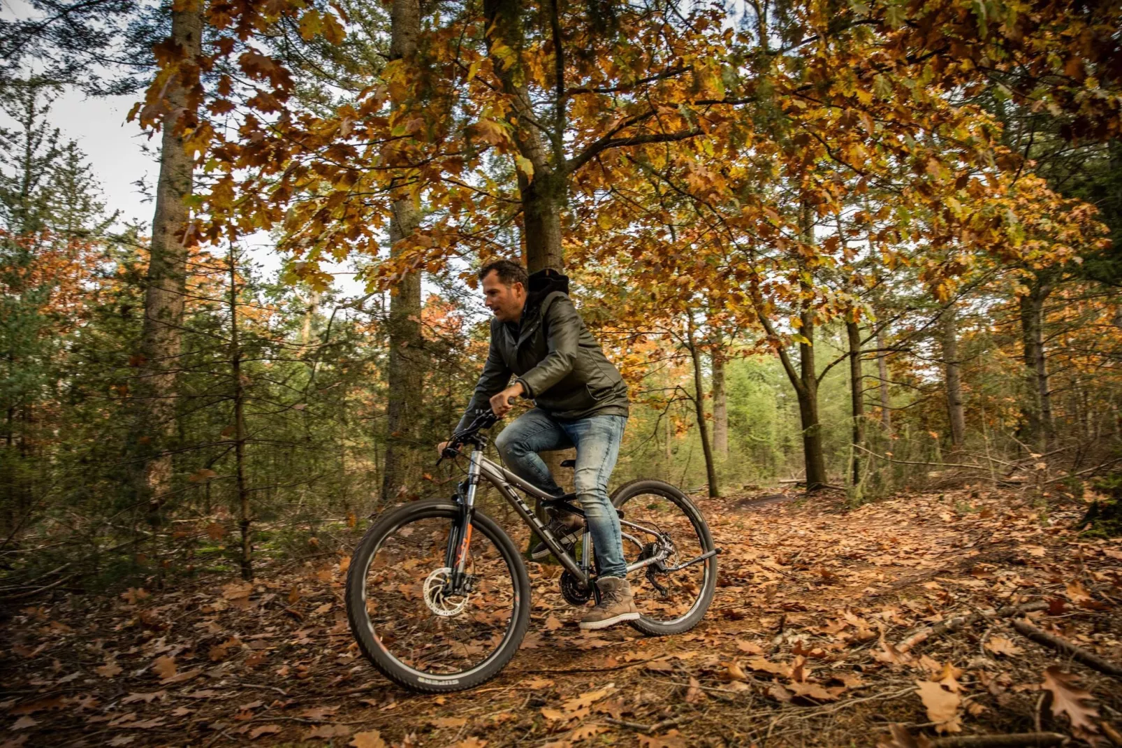 Vakantiepark De Heihorsten 8-Ambiente