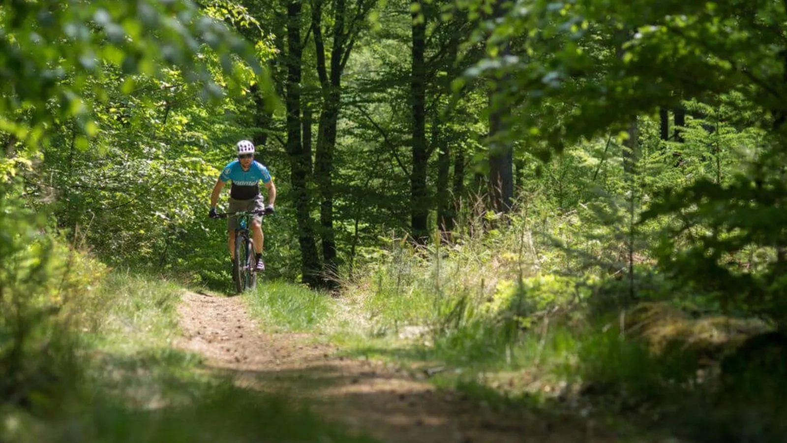De Ceder-Areas summer 5km