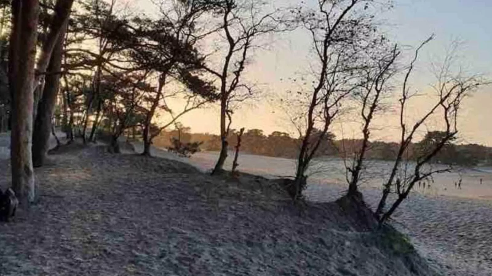 De Ceder-Areas summer 5km