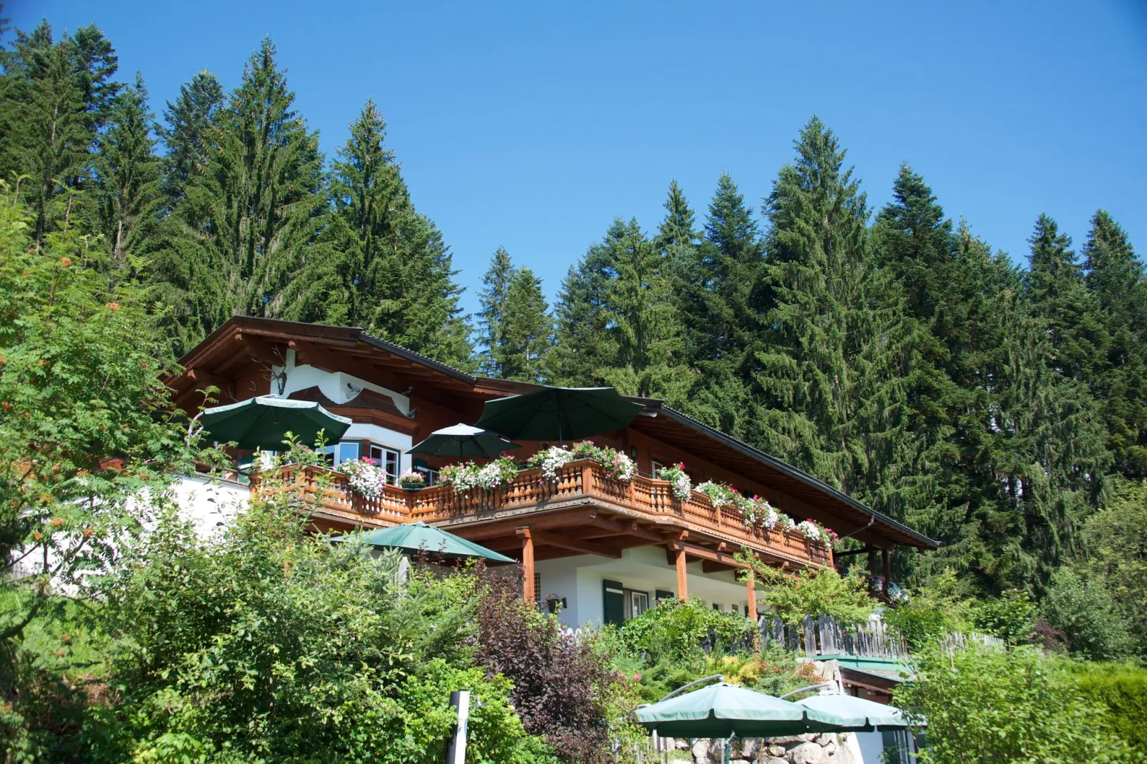 Appartement - Top 2-Exterior summer