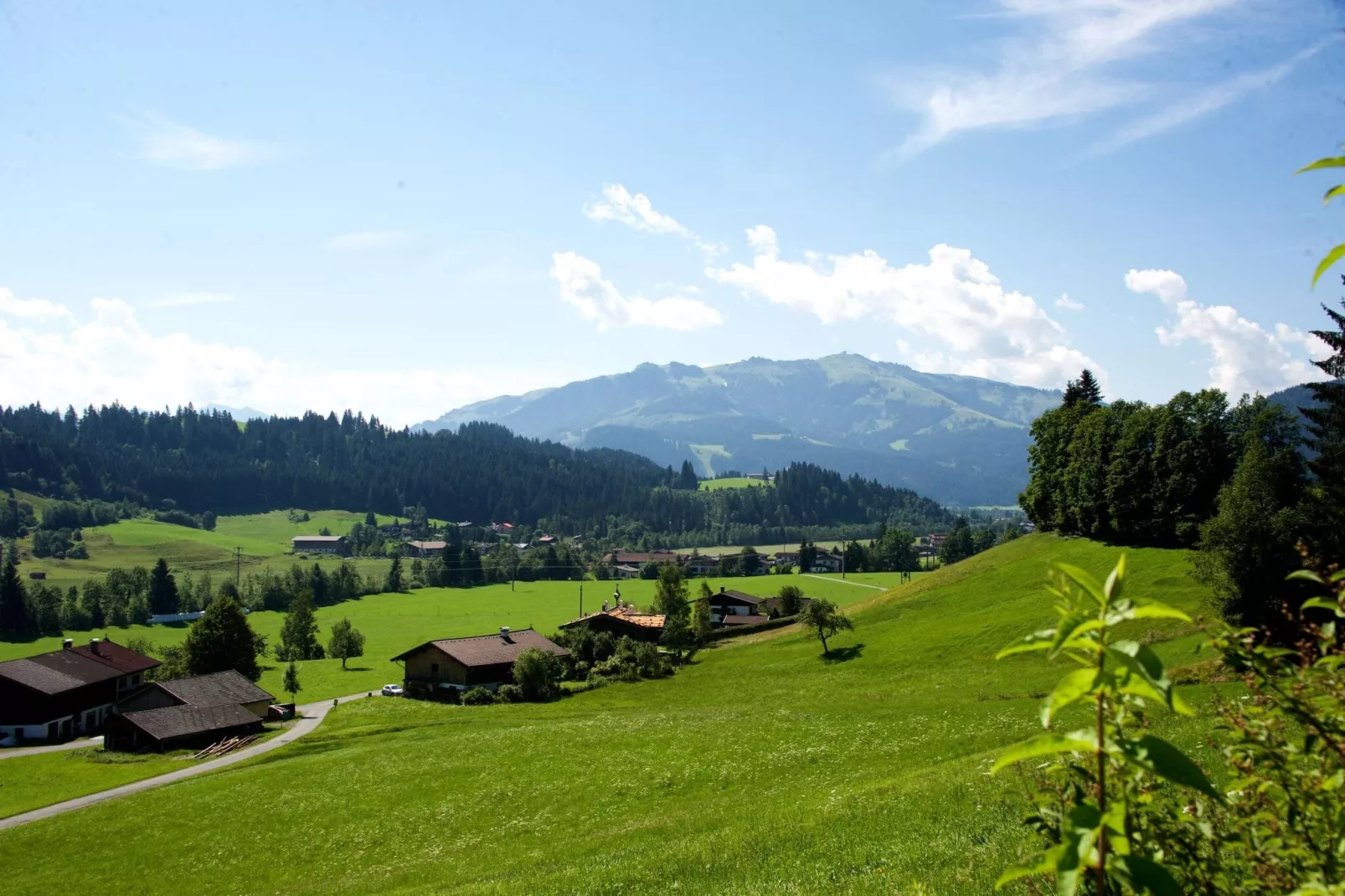 Appartement - Top 2-View summer
