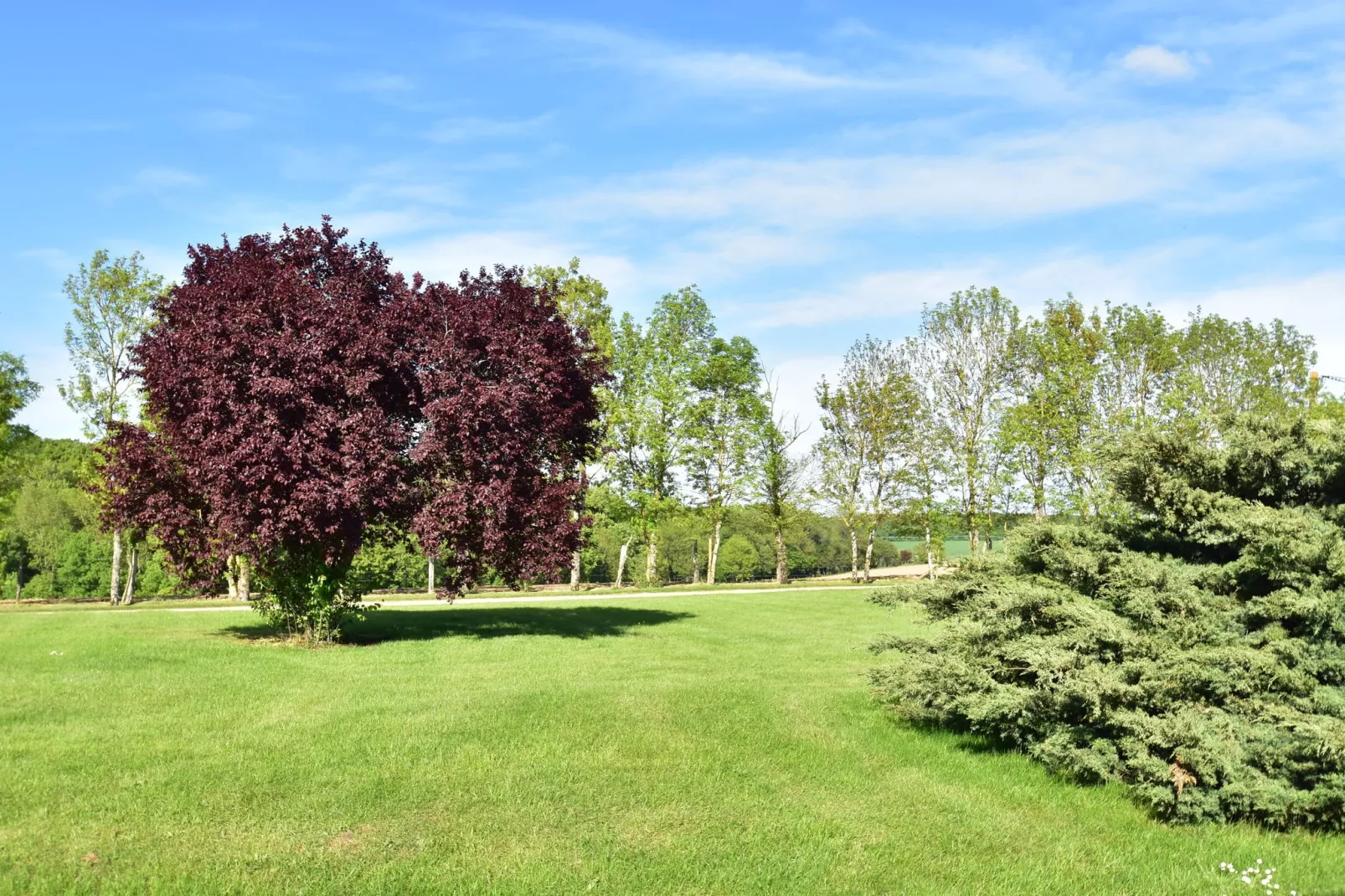 Maison de vacances  St Maurice sur Aveyron ferme-Gardens summer