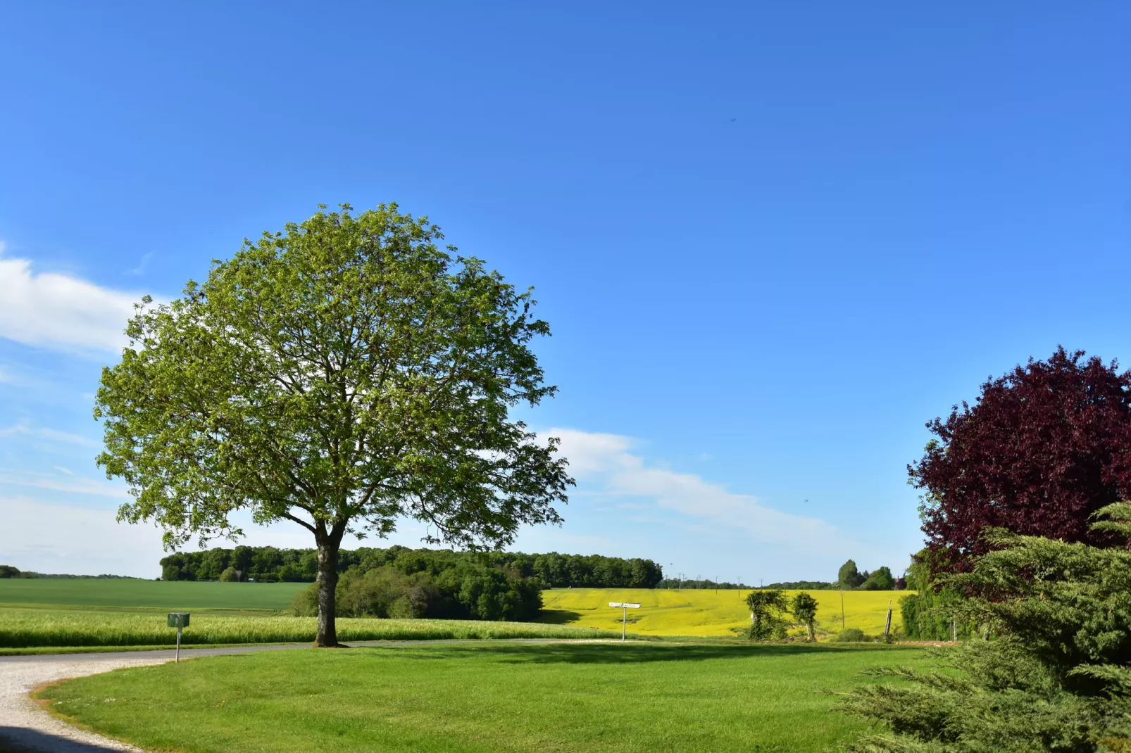 Maison de vacances  St Maurice sur Aveyron ferme-Areas summer 1km