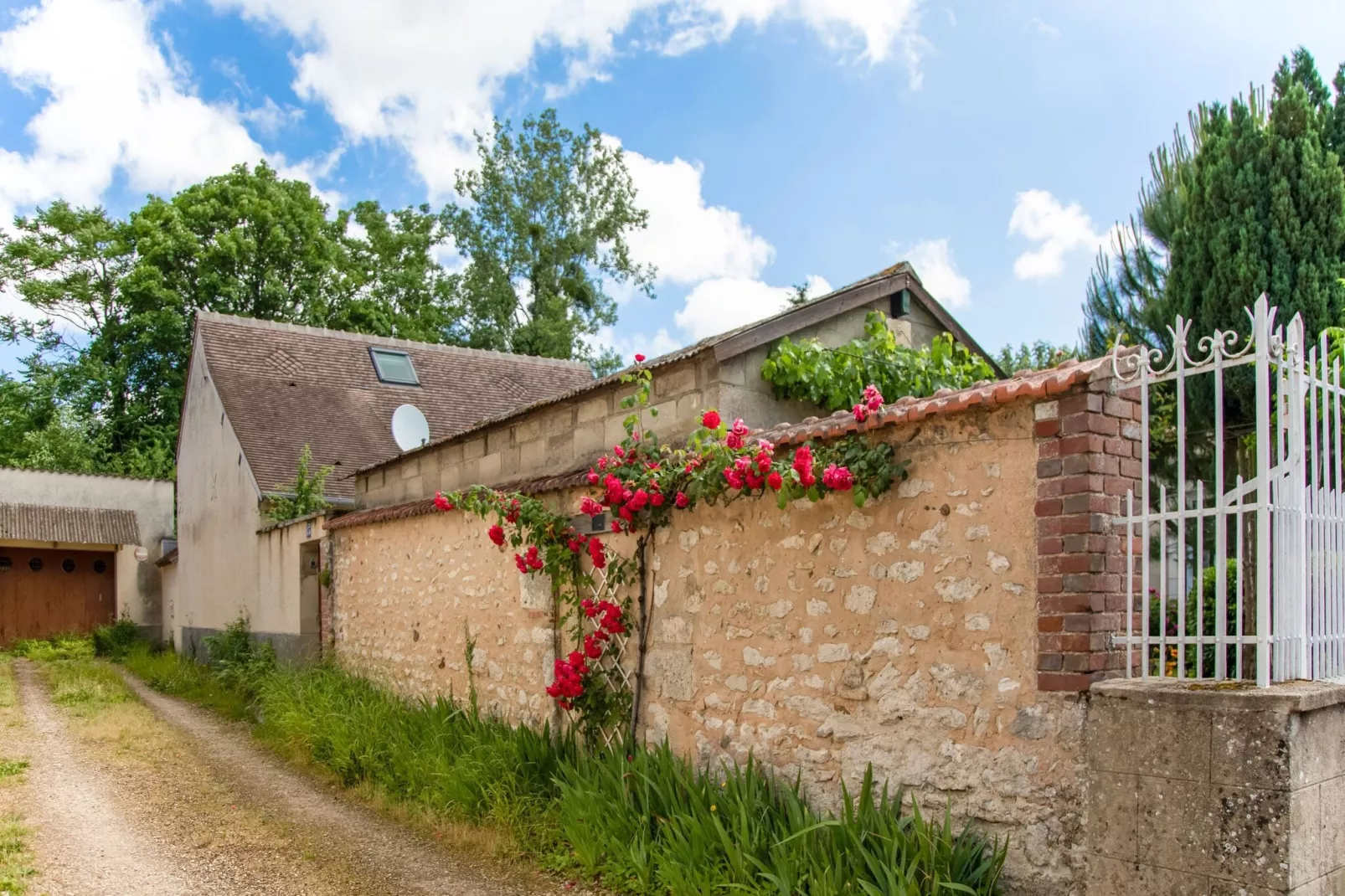 Cosy holiday home with garden-View summer